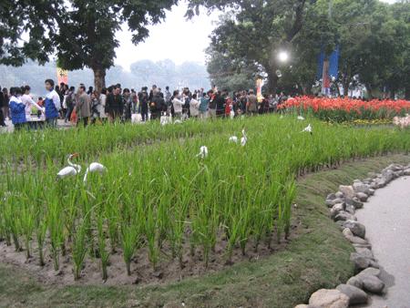 Flower festival attracts nearly 3 million visitors